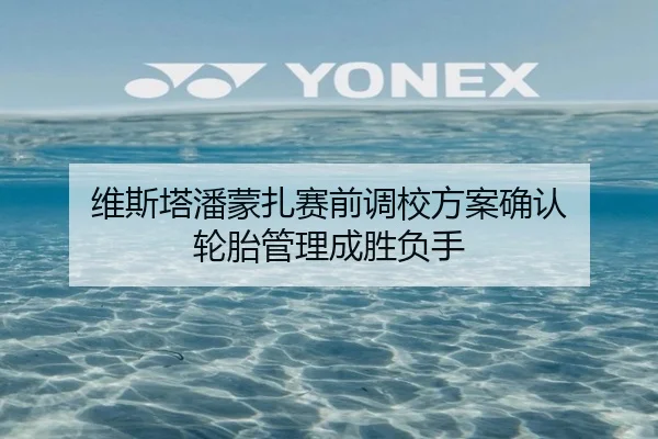 维斯塔潘蒙扎赛前调校方案确认 轮胎管理成胜负手