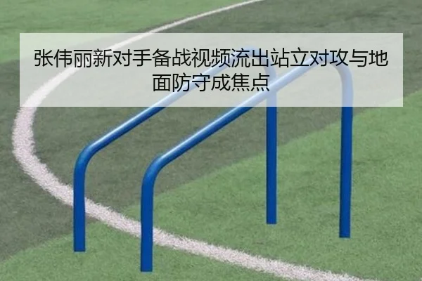张伟丽新对手备战视频流出站立对攻与地面防守成焦点